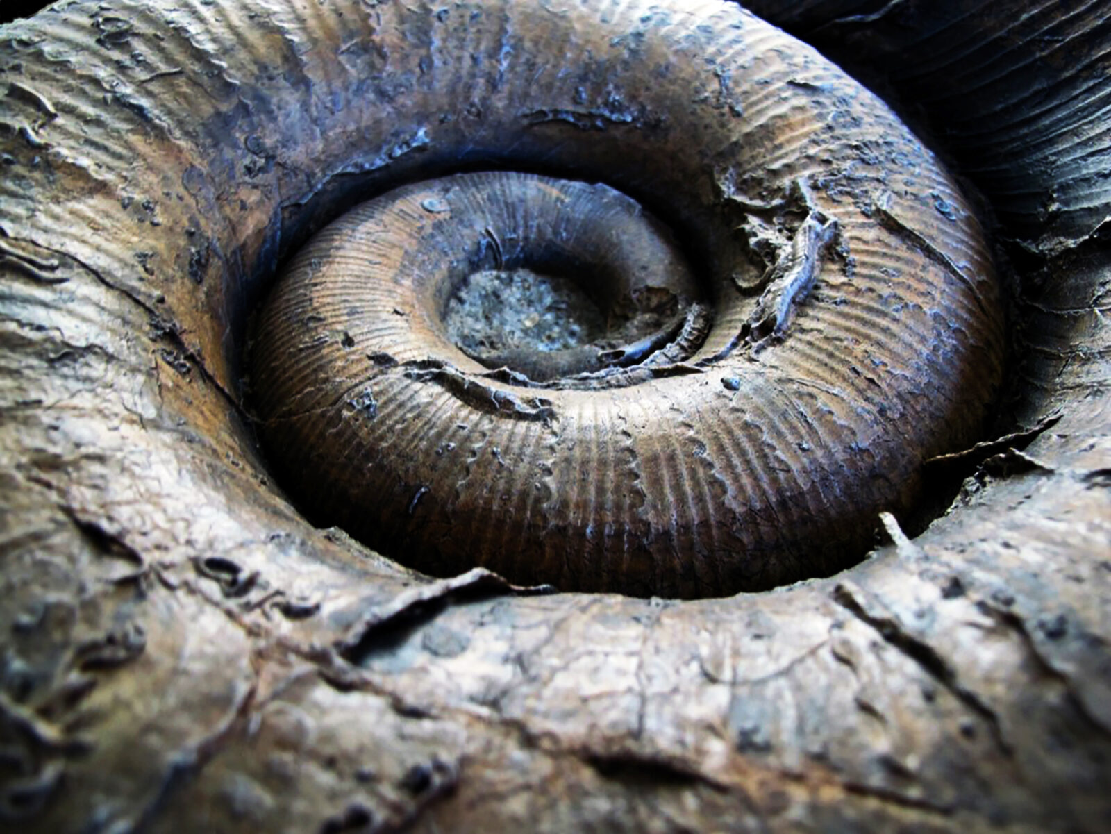 Verleihung  des Franz-Leuthardt-Preises der NGBL mit Vortrag des Preisträgers, Geologe Dr. Urs Pfirter