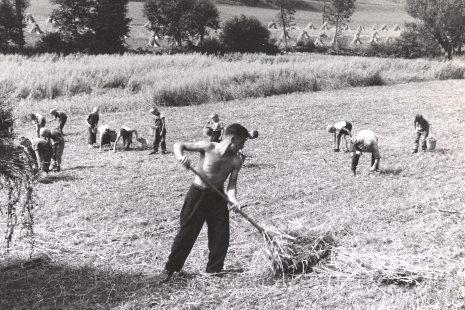Vortrag & Diskussion zu fürsorgerischen Zwangsmassnahmen im Kanton Baselland