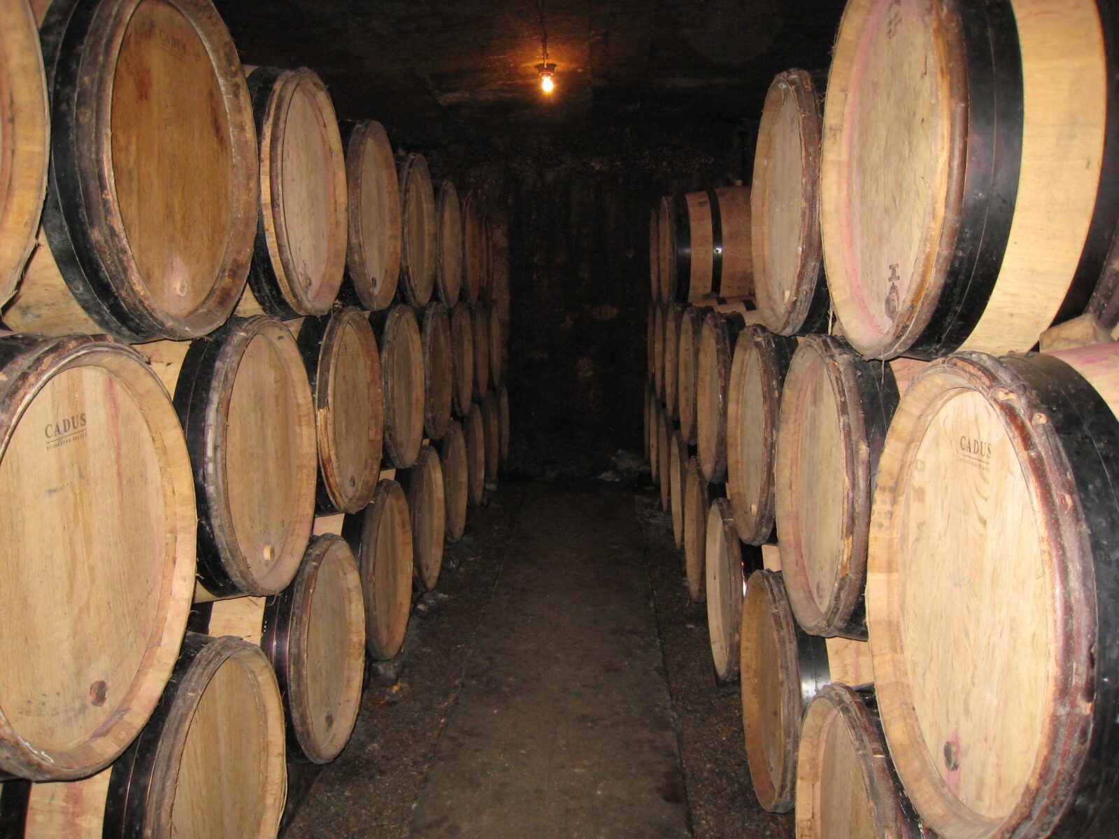 Burgund Arrivage – Jahrgang 2024
