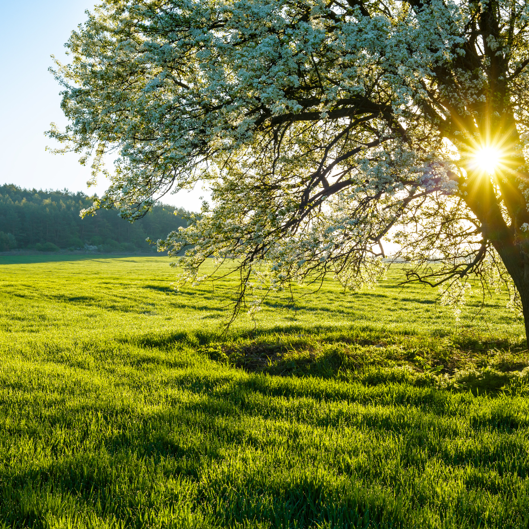Mantra, Natur & Stille