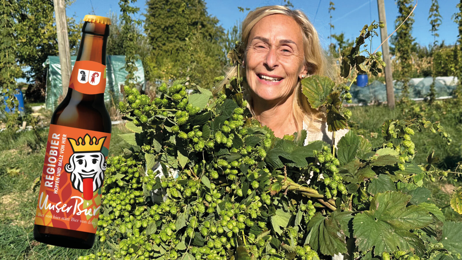 Hopfenernte Unser Bier