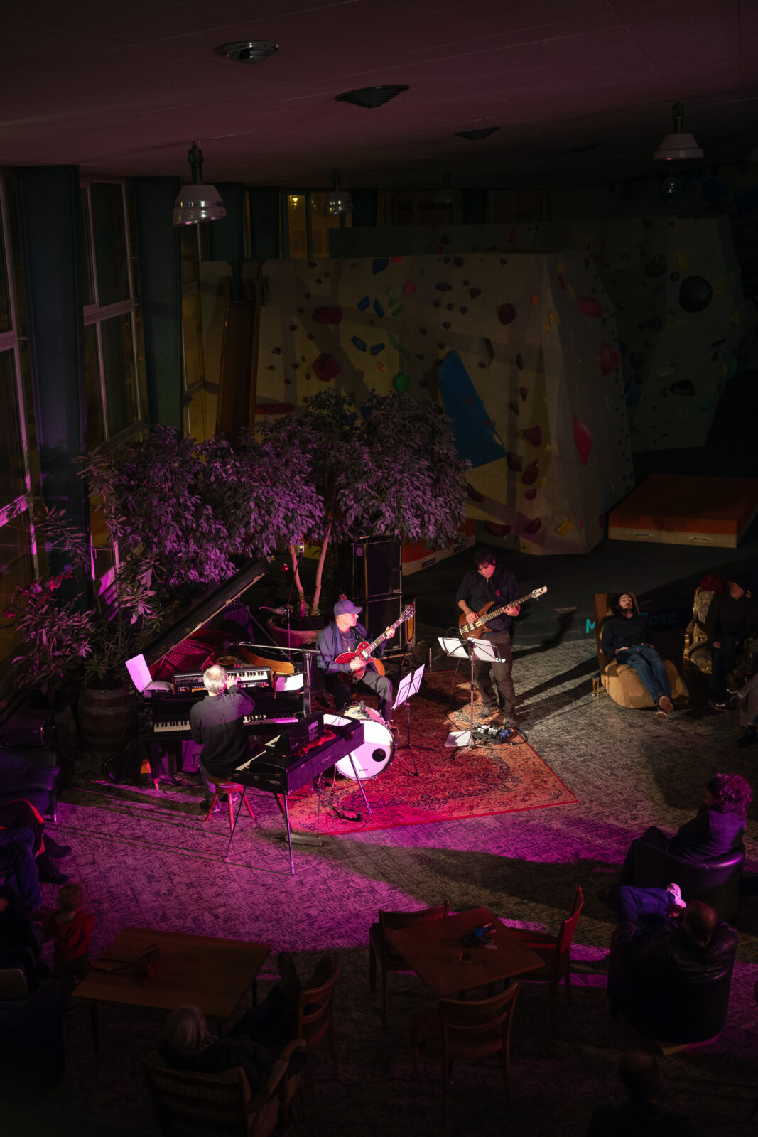 projekt KONDOR     liechtblicke