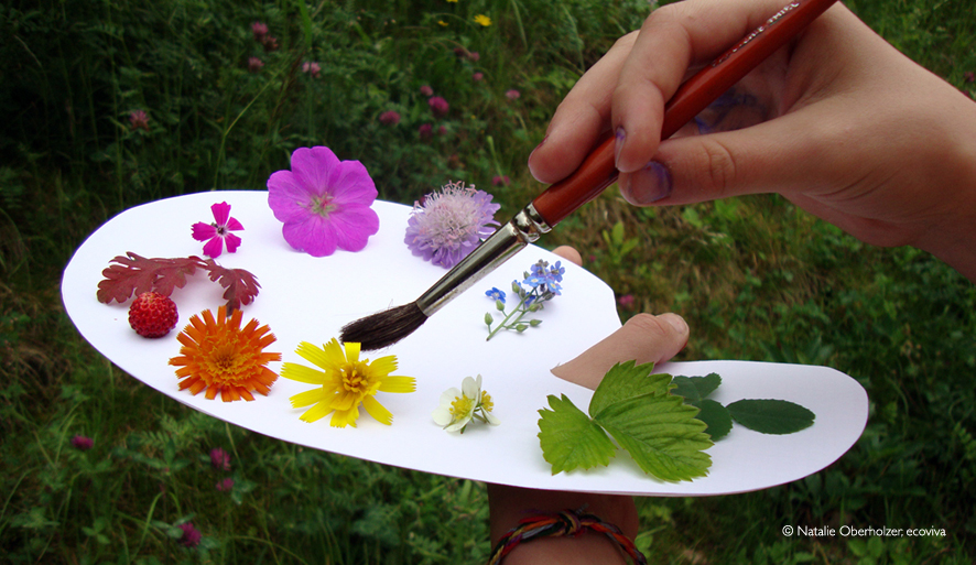 Sommerkurs – Naturfarben entdecken und herstellen